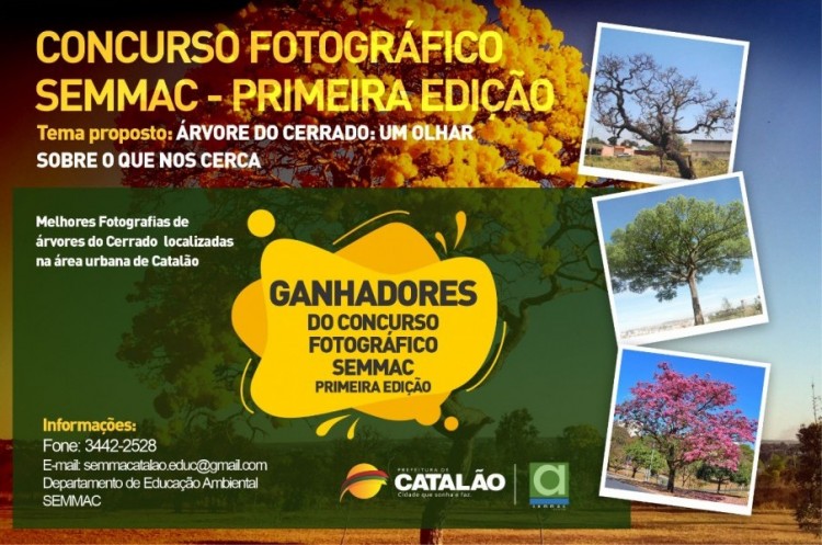 Vencedores do Concurso Fotográfico SEMMAC