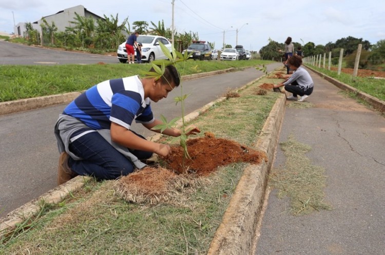 Mil mudas são plantadas durante lançamento da Virada Ambiental em Catalão