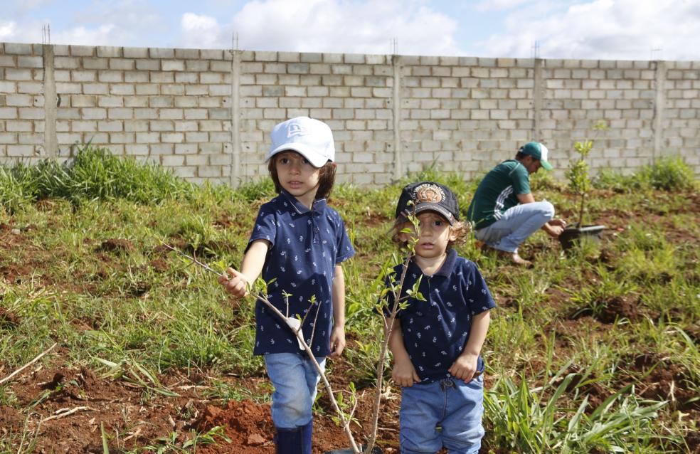 Em Catalão foram plantadas 500 mudas durante a Virada Ambiental