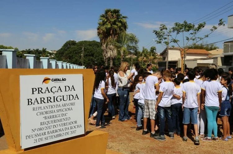 Nova árvore &quot;barriguda&quot; é plantada no Crac