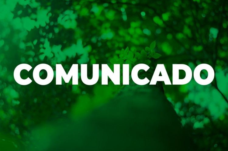 Laudo técnico e licença ambiental autorizam remoção de árvores na Praça das Mães