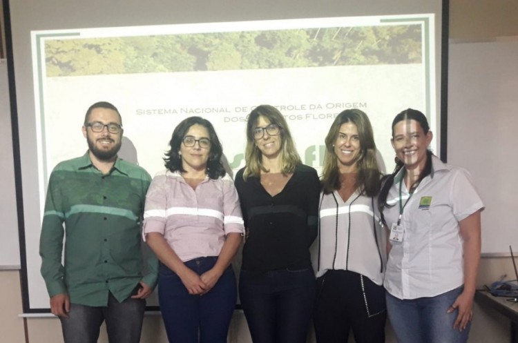 Sinaflor: Técnicos da SEMMAC participam de treinamento sobre implantação e funcionamento do Sistema 