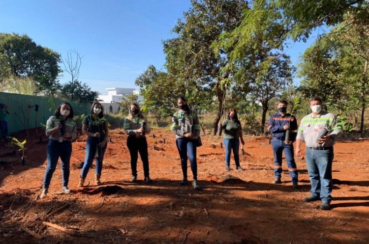 SEMMAC realiza plantio de mudas na sede da secretaria