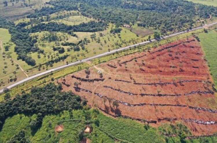 SEMMAC registra aumento de mais de 70% em denúncias sobre desmatamento de vegetação nativa no munícipio