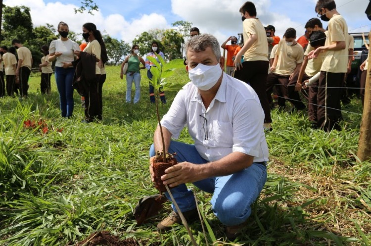 Mil mudas foram plantadas durante a Virada Ambiental em Catalão