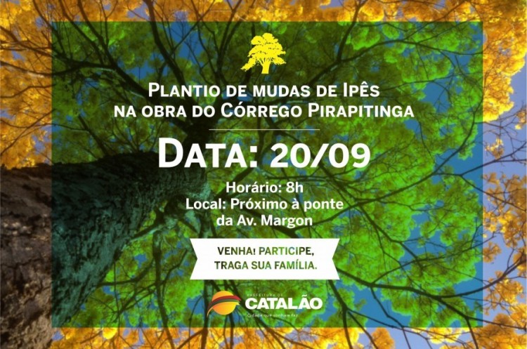 Obra do Córrego Pirapitinga: Dezenas de árvores serão plantadas nesta sexta no local 