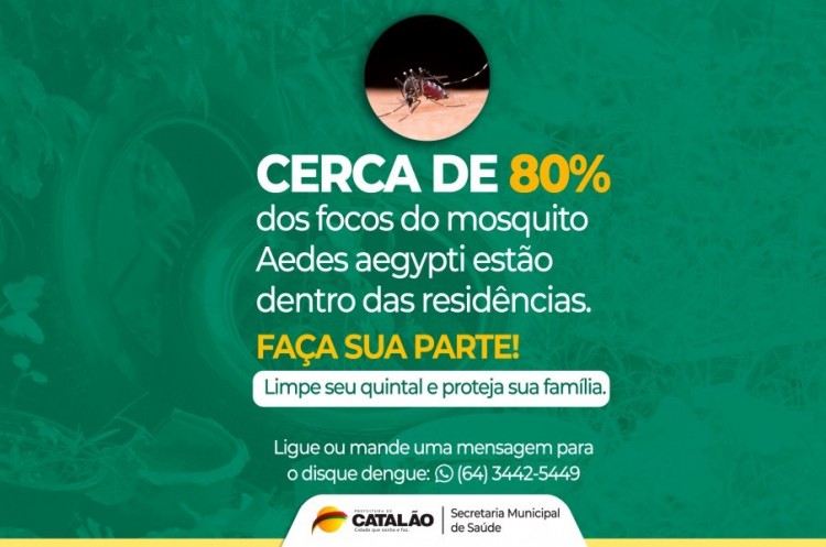 Dengue: levantamento aponta que mais de 80% dos focos do Aedes aegypti estão dentro das residências