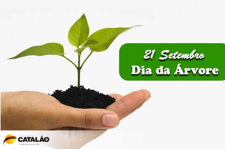 Dia da árvore
