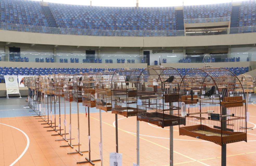 Torneio de “Canto de Pássaros” reúne cerca de 300 aves em Catalão
